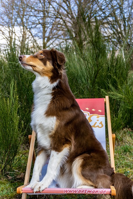 Best bonus offers for Australians