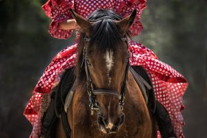best-odds-for-horse-racing-betting-austr-640x480-2545362.jpeg