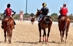 best-odds-for-horse-racing-betting-austr-640x480-70076501.jpeg
