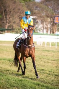 best-odds-for-horse-racing-betting-austr-640x480-97155959.jpeg