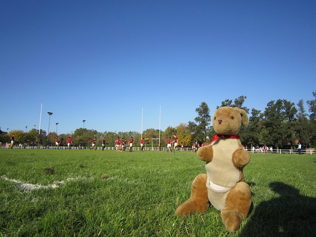 Best rugby betting sites in Australia