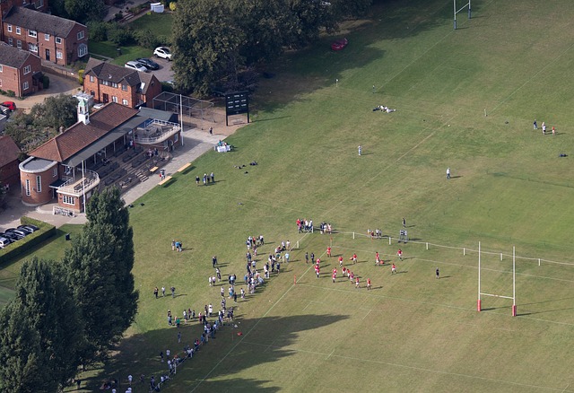 Best rugby betting sites in Australia