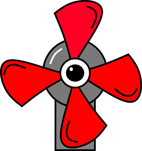 Betting strategies for Aussie sports fans