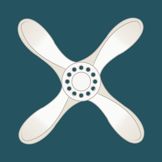 betting-strategies-for-aussie-sports-fan-640x480-8316315.png