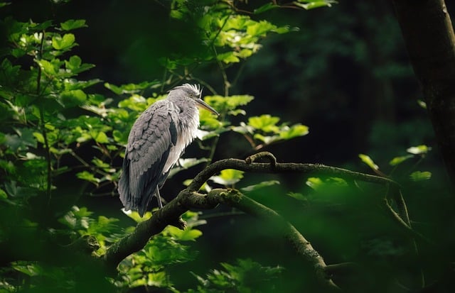 Big win casinos Australia