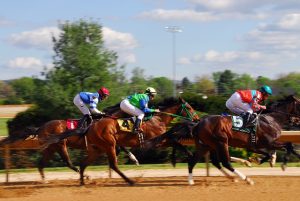 high-payout-horse-racing-betting-austral-640x480-31622750.jpeg