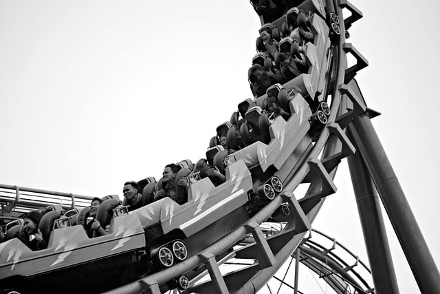High roller sports betting Australia