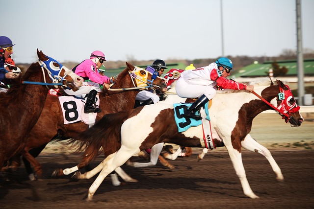 horse-racing-tips-for-australian-punters-640x480-95142717.jpeg