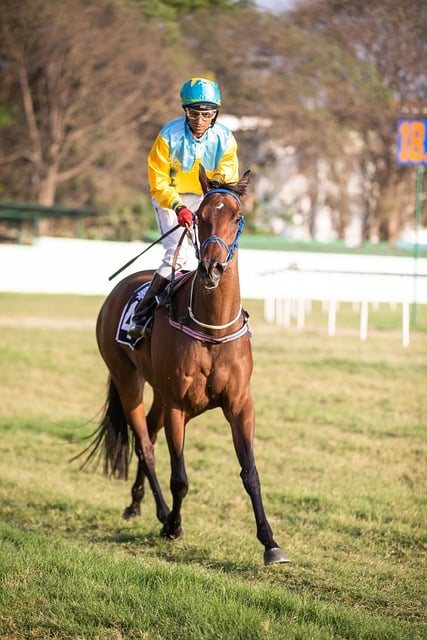 Online horse racing betting Australia