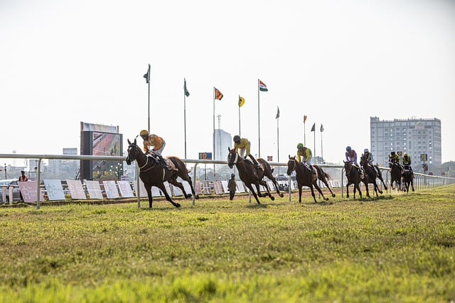 Online horse racing betting Australia