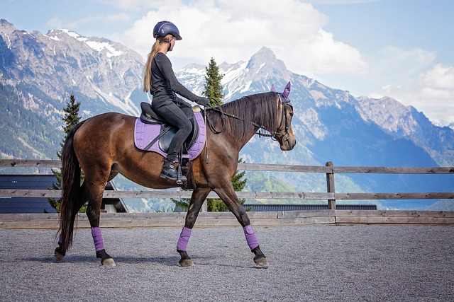 Online horse racing betting Australia