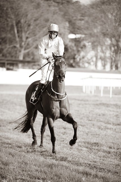 Online horse racing betting Australia