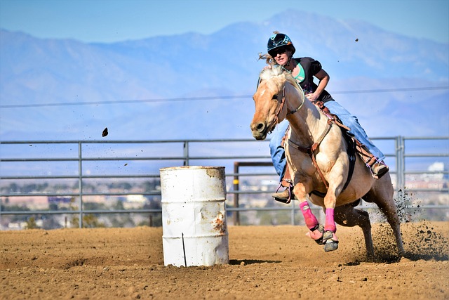 Online horse racing betting Australia