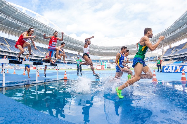 Popular sports to bet on in Australia