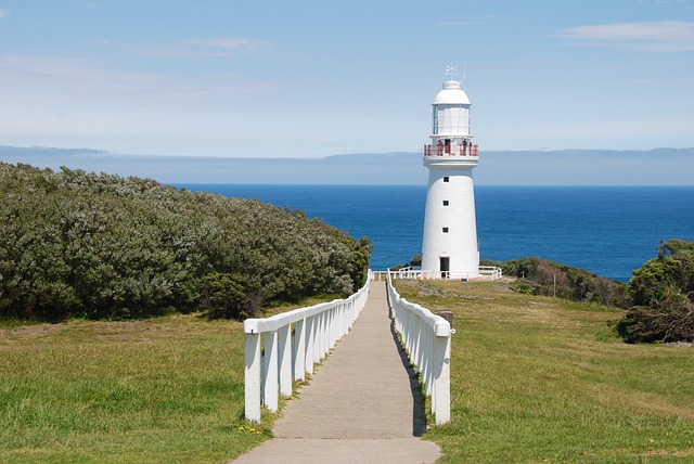 Popular sports to bet on in Australia