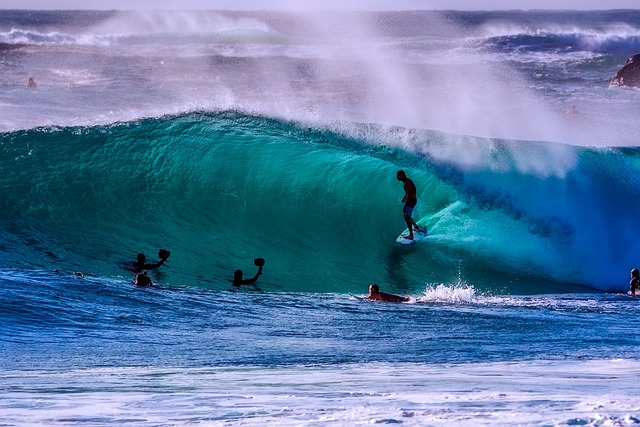 Popular sports to bet on in Australia