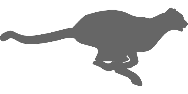 Quick withdrawals for Australian sports bettors