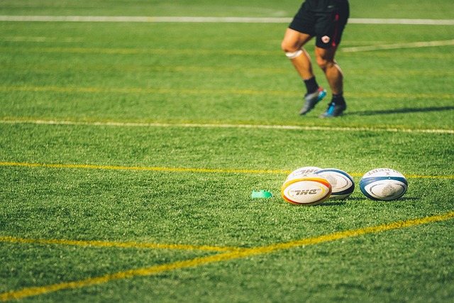 Top rugby betting sites Australia