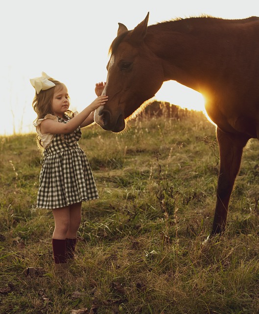 Trusted horse racing betting sites Australia