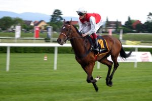 trusted-horse-racing-betting-sites-austr-640x480-87480455.jpeg