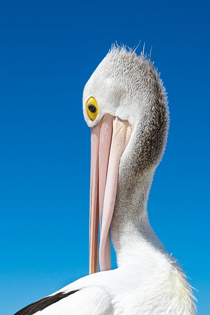 australian-lottery-betting-sites-640x480-23390780.jpeg