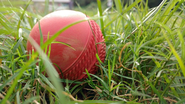 Best cricket betting odds Australia