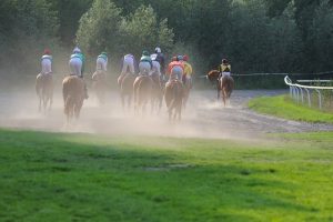 best-odds-for-horse-racing-betting-austr-640x480-28437568.jpeg