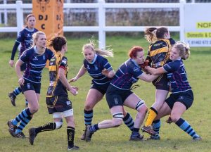 best-rugby-betting-sites-in-australia-640x480-69711855.jpeg