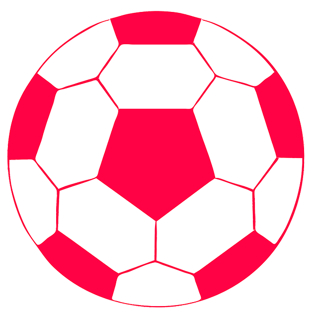 Betting tips for Aussie soccer fans 2024