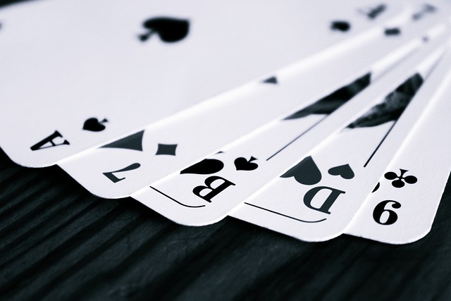 Casino games with high RTP Australia