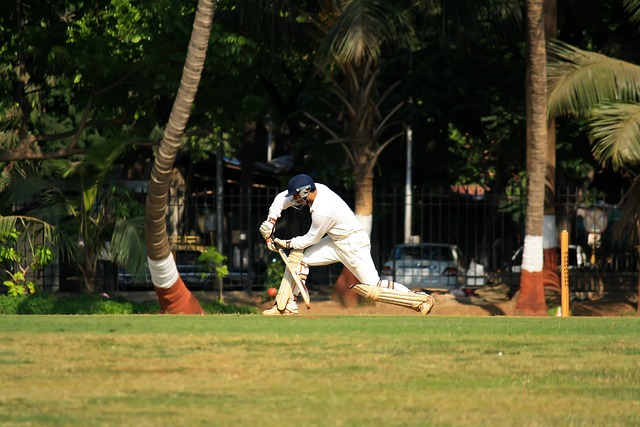 Cricket betting apps Australia