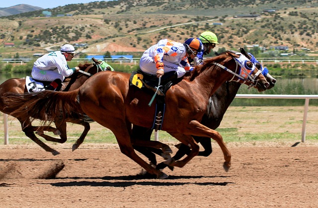 high-payout-horse-racing-betting-austral-640x480-22557542.jpeg