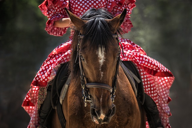 high-payout-horse-racing-betting-austral-640x480-22714715.jpeg