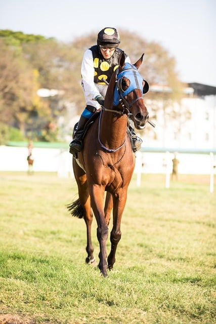 High payout horse racing betting Australia