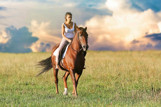high-payout-horse-racing-betting-austral-640x480-64178598.jpeg