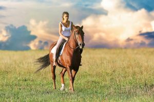 high-payout-horse-racing-betting-austral-640x480-68464054.jpeg