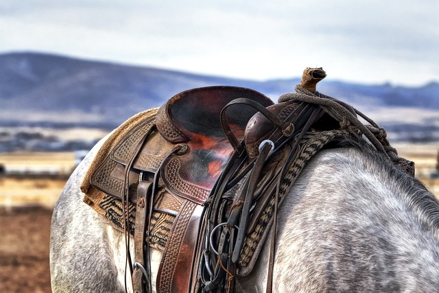 Horse racing tips for Australian punters