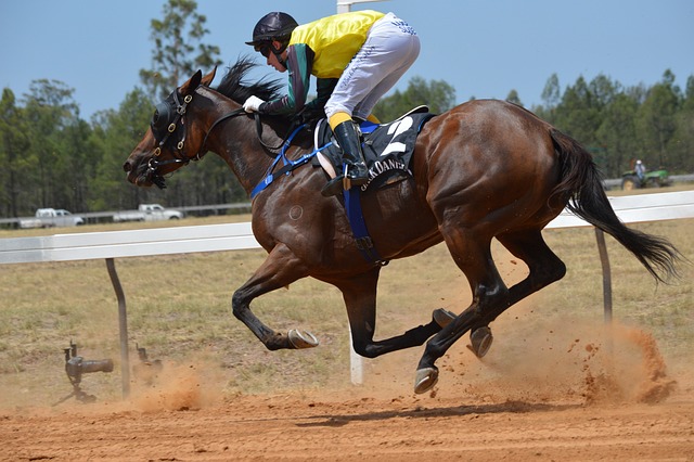 Horse racing tips for Australian punters