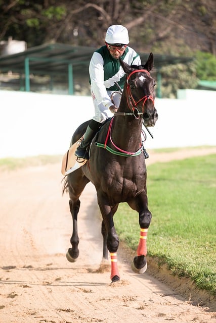 horse-racing-tips-for-australian-punters-640x480-78285021.jpeg