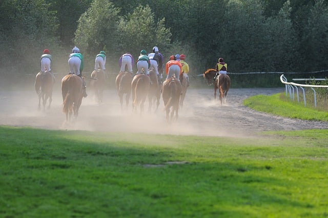Horse racing tips for Australian punters