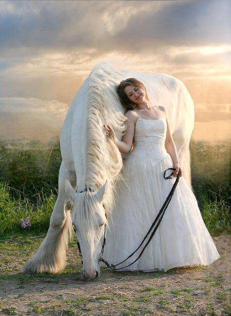 Online horse racing betting Australia