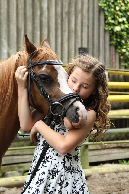 Online horse racing betting Australia