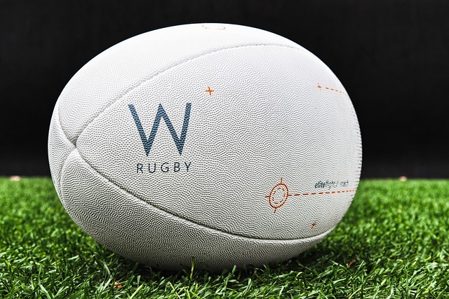 Trusted Australian betting platforms for rugby