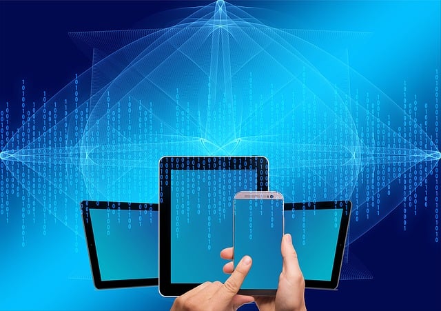 Trusted online platforms for sports betting