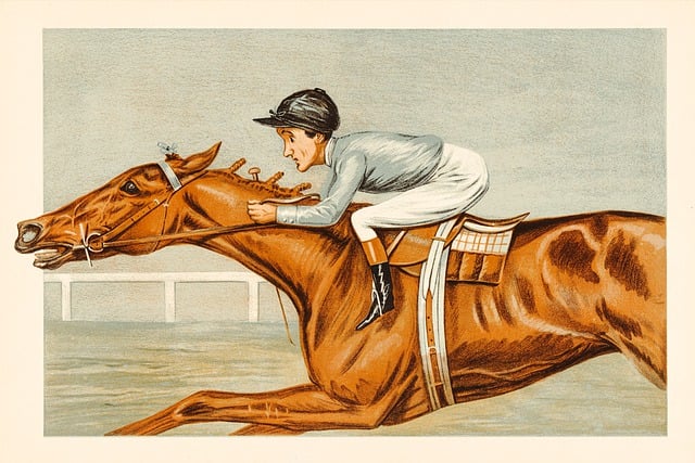 Australian sports betting sites