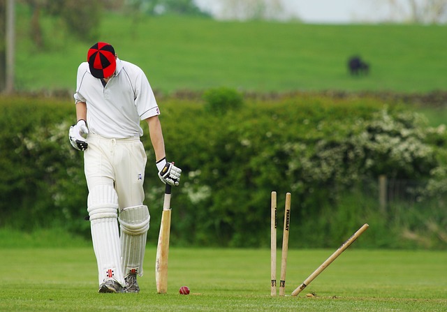 best-bonuses-for-cricket-betting-in-aust-640x480-95595551.jpeg