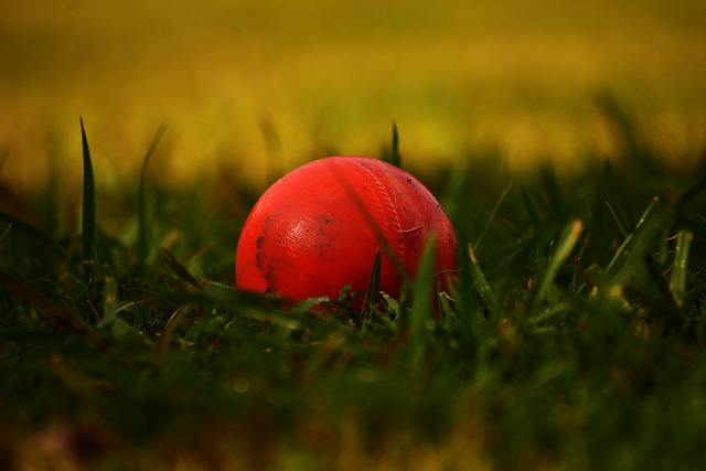 Best cricket betting odds Australia