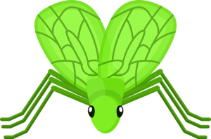 best-cricket-betting-sites-australia-640x480-91761251.png