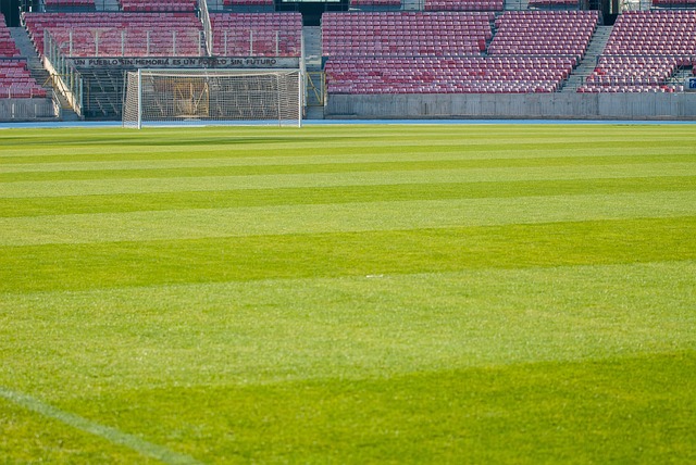 Best odds for Australian football betting