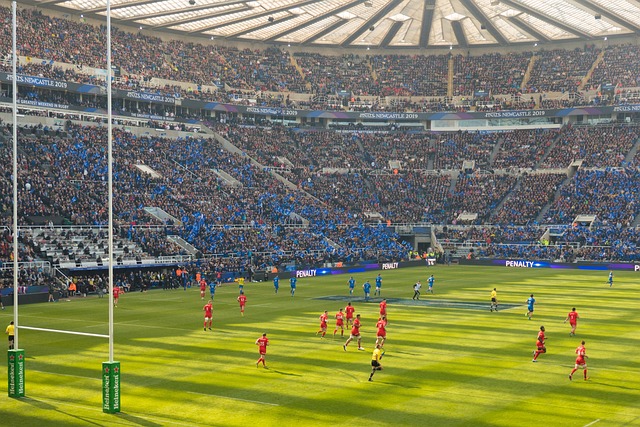 Best rugby betting sites in Australia